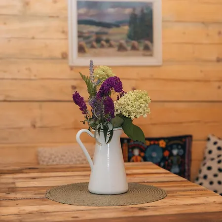 Glamping Olivia V Lese Radic